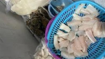 لحوم فاسدة.. ضبط القائمين على إدارة مطعمين بالتجمع