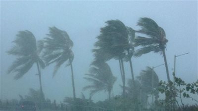 بسبب العاصفة.. سقوط لوحتين إعلانيتين وسقف قاعة بنادي الإسكندرية للبترول | بث مباشر