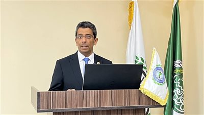 الاتحاد العربي للمخلصين الجمركيين يطلق برنامجًا تدريبيًا لدعم المنتجين والمصدرين