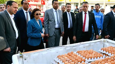 اليوم.. إطلاق قافلة جديدة لتوزيع البيض بأسعار مخفضة في البحيرة 