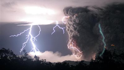 علماء يكتشفون نوعا من الأشجار يزدهر بعد تعرضه لصواعق البرق 