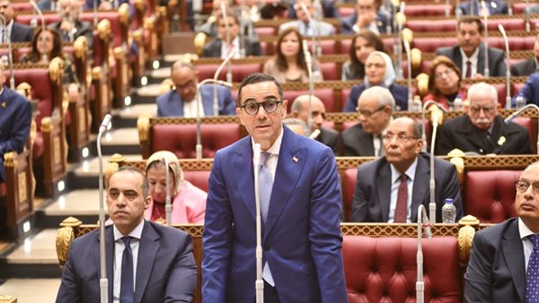 وزير الاستثمار