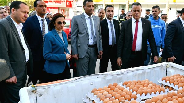 قافلة لبيع البيض