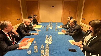 وزير الخارجية يؤكد أهمية المضي قدما في مسار الاعتراف بالدولة الفلسطينية وحل الدولتين