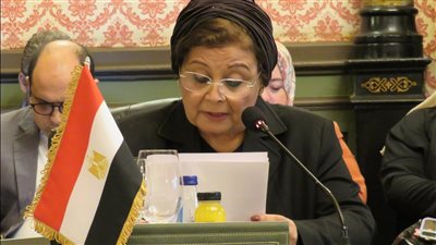 نائب وزير الصحة: خطة لتحويل المؤشرات السكانية المنخفضة بالريف والصعيد إلى مناطق تنموية