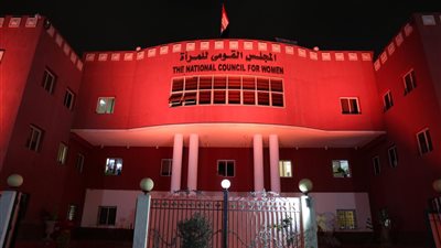 القومي للمرأة يحتفل باليوم العالمي للقضاء على العنف وبدء فعاليات حملة الـ 16 يوما 