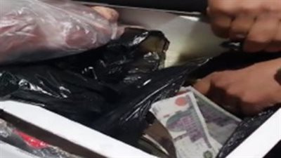 مخبأة داخل حقائبهما.. ضبط شخصين بمطار برج العرب حاولا تهريب مبالغ مالية