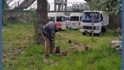 محافظ الإسكندرية: زارعة 72 ألفا و50 شجرة منذ بدء المرحلة الثانية من تنفيذ مبادرة 100 مليون شجرة