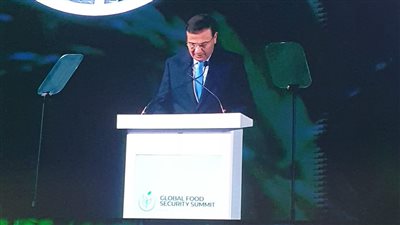 وزير الزراعة: الأمن الغذائي يواجه تحديات كبرى