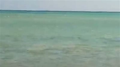 بعد شحوط سفينة بضائع.. نجاح إزالة بقعة الزيت وإجراءات لحماية الشعاب المرجانية بمدينة القصير | بث مباشر