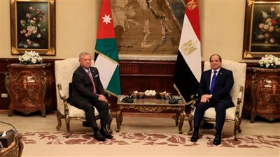 السيسي والعاهل الأردني يؤكدان ضرورة الوقف الفوري للحرب على غزة