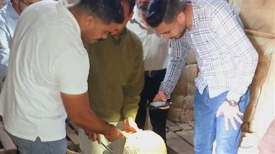 محافظ الغربية: ضبط 21 ألف عبوة حلويات و1000 كيلو مواد غذائية منتهية الصلاحية