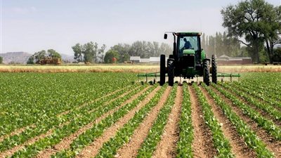 يزيد إنتاجية الفدان 30%.. خطوات تحويل الأراضي الزراعية للري الحديث