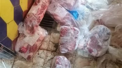 ضبط أكثر من 2 طن لحوم فاسدة خلال حملة في الإسكندرية 