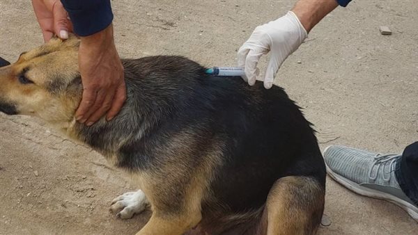 جانب من الحملة 