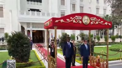 السيسي يستقبل رئيس الجابون في قصر الاتحادية