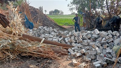 إزالة مخالفات على الأراضي الزراعية وأملاك الدولة بالعياط | صور