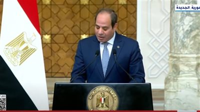 الرئيس السيسي: زيادة العلاقات الاقتصادية مع الجابون وتحقيق التكامل في عدة مجالات