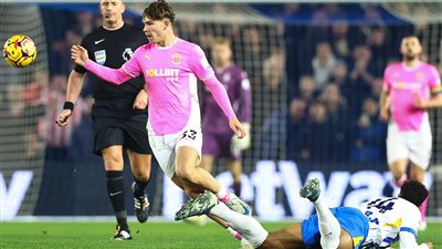 التعادل الإيجابي يحسم مباراة برايتون وساوثهمبتون ببداية الجولة 13 لـ بريميرليج