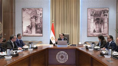 رئيس الوزراء يلتقي رئيس مجلس إدارة شركة 