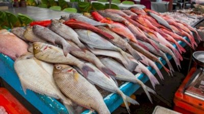 رؤية السمك في المنام للرجل المتزوج والأعزب.. دلالات المشوي والمقلي في الحلم