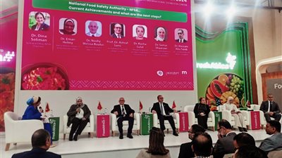 سلامة الغذاء تستحدث مشروعا لمراقبة إنتاج وتداول الأغذية في السوق المصري