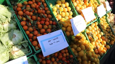 سوق اليوم الواحد بإمبابة يفتتح أبوابه للمواطنين غدًا| صور 