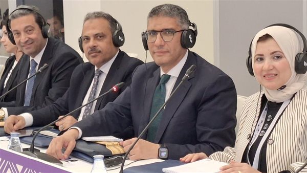 محافظ الجيزة من المؤتمر