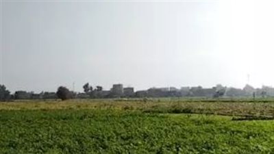 رغم تحذيرات من منخفض جوي.. طقس شتوي رائع وأجواء مستقرة على المحافظات| بث مباشر 