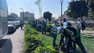 وزيرة البيئة: زراعة أكثر من 200 شجرة بمنطقة الأميرية بمحافظة القاهرة| صور 