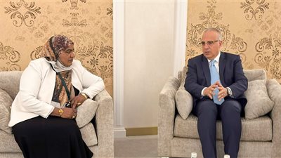 وزير الري لـ وزيرة الييئة السودانية: سد النهضة انتهاك للقانون الدولي.. ولا ترغب أثيوبيا في التوصل لحل