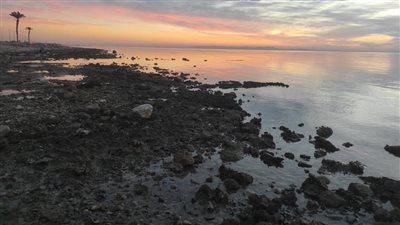 لليوم الثاني.. انحسار المياه على شواطئ دهب بسبب ظاهرة المد والجزر| صور 