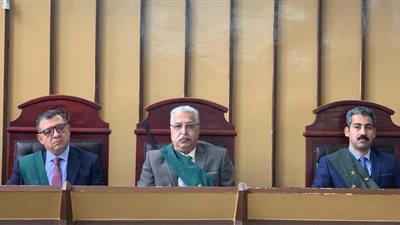 بحوزته 12 قطعة حشيش.. المشدد 10 سنوات وغرامة 100 ألف جنيه لمحاسب ببورسعيد