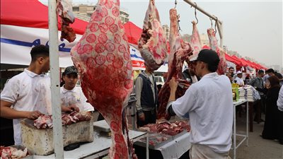 محافظ القاهرة: تخفيضات تصل لـ50% بأسواق اليوم الواحد.. ونحرص على التوسع في إقامة المزيد بجميع الأحياء