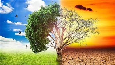 الأمم المتحدة تحذر من حدوث مجاعة عالمية بسبب تغيرات المناخ