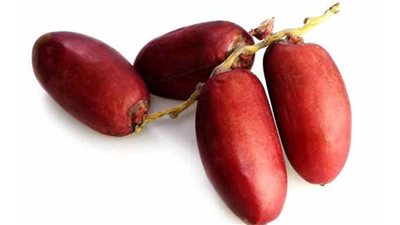 رغم فوائده العديدة.. تعرف على أضرار تناول البلح الأحمر على مرضى الكلى والسكري 