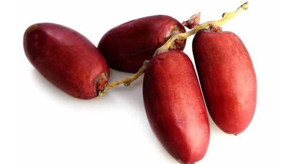 أضرار البلح الأحمر