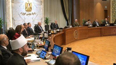 لمدة عام.. الحكومة: مد العمل بقواعد وشروط التملك والترخيص بالانتفاع لواضعي اليد بسيناء