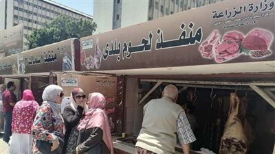 كيلو اللحوم بـ 250 جنيهًا.. أسعار السلع في منافذ الزراعة قبل عيد الأضحى 