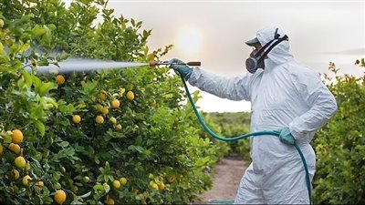 دراسة تكشف عن نتائج صادمة بشأن ارتباط المبيدات الحشرية بالفاكهة في الإصابة بالسرطان