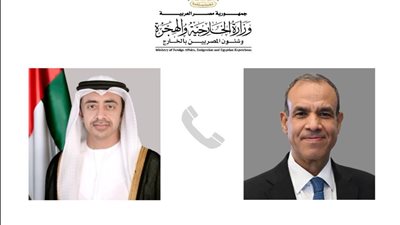 وزير الخارجية يبحث مع نظيره الإماراتي مستجدات الأوضاع في سوريا
