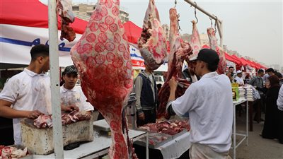 محافظ القاهرة: تشغيل أسواق اليوم الواحد بمدينة نصر وعين شمس الجمعة والسبت بشكل أسبوعي| صور 