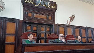 المشدد 5 سنوات لشاب تعدى على والدته وسرقها في أسيوط