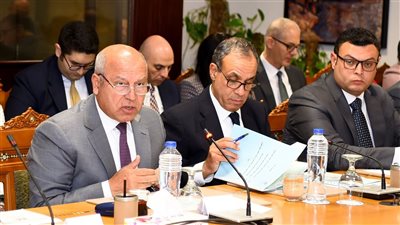 لتعزيز ربط المقيمين في الخارج بالوطن.. وزير الخارجية يترأس اجتماع اللجنة العليا للهجرة