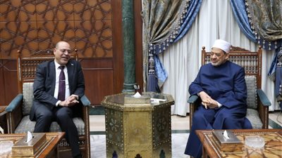 الإمام الطيب يستقبل وزير العمل لبحث سبل التعاون المشترك لتدريب طلاب الأزهر 