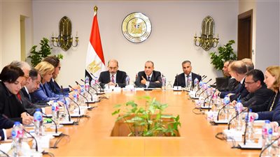 وزير الخارجية يلتقى السفراء الأوروبيين المعتمدين في مصر