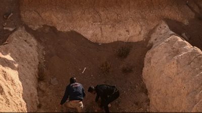 محافظة الإسكندرية تعلن طرح الجزء الثاني من المرحلة الثامنة من مقابر الناصرية