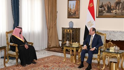 السيسي: مستعدون للتوسع في تنفيذ مشروعات خاصة بالثقافة والفنون وحماية التراث مع السعودية 