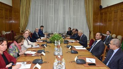 سوريا والاعتراف بفلسطين.. ملفات على طاولة أبو الغيط ووفد الشيوخ الفرنسي 