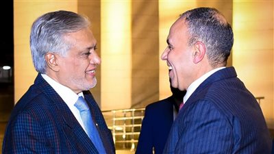 وزير الخارجية يلتقي نظيره الباكستاني.. ويبحثان الأوضاع في غزة وسوريا ولبنان 